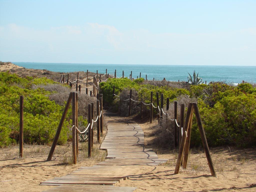 Apartament Pinada Beach La Mata  Δωμάτιο φωτογραφία